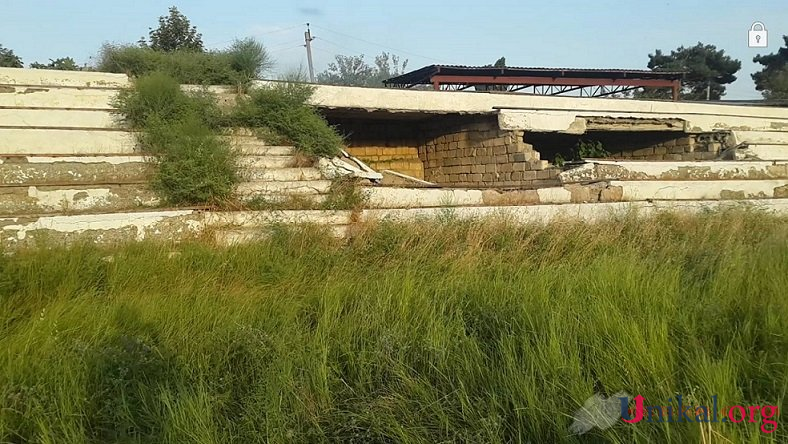 Stadionlarda qoyun otarılır, bəziləri isə ayaqoluna çevrilib... - Azərbaycanda (FOTOLAR)